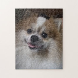 Puzzle Perro de Pomeranian