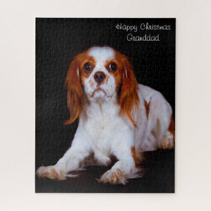 Puzzle Perro de raza Cavalier King Charles Spaniel.