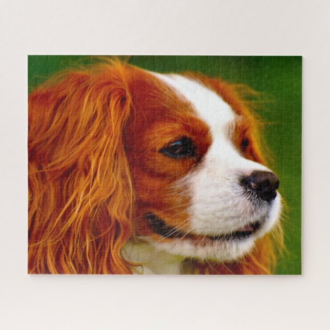 Puzzle Perro de raza Cavalier King Charles Spaniel. (Horizontal)