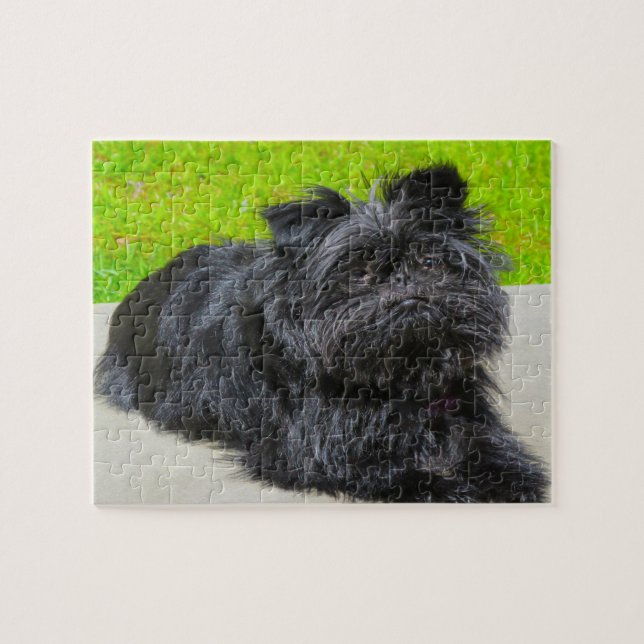 Puzzle Perro de raza pura Affenpinscher. (Horizontal)