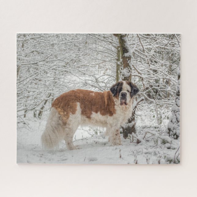 Puzzle Perro de San Bernardo en la nieve (Horizontal)