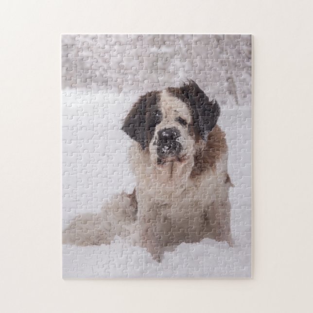 Puzzle Perro de San Bernardo en la nieve (Vertical)