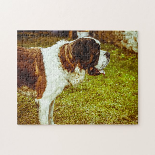 Puzzle Perro de San Bernardo Jigsaws. (Horizontal)