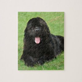 Puzzle Perro de Terranova