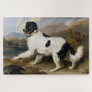 Puzzle Perro de Terranova (animal blanco y negro)