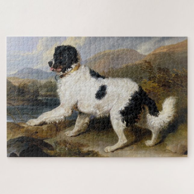 Puzzle Perro de Terranova (animal blanco y negro) (Horizontal)