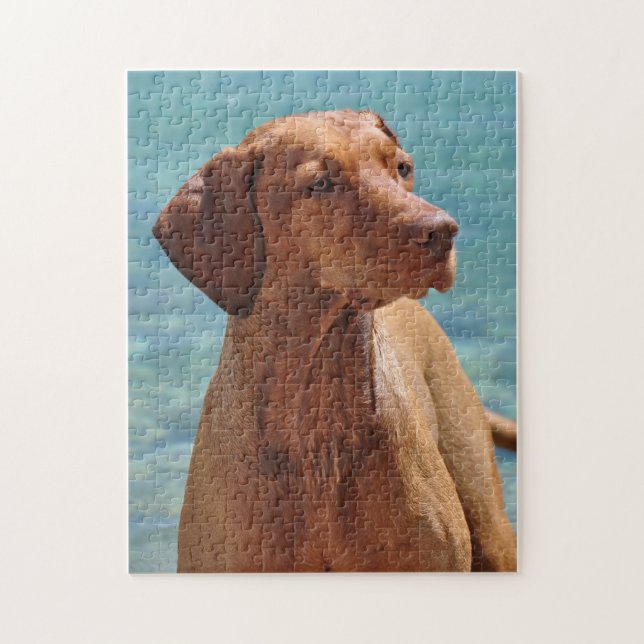 Puzzle Perro de Vizsla del Magyar (Vertical)
