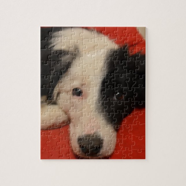 Puzzle perro del border collie (Vertical)