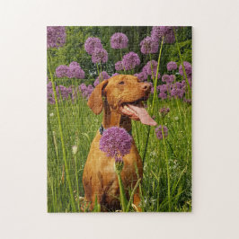 Puzzle Perro desconcerta foto de picapapeles de cachorro 