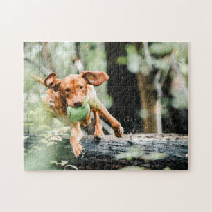 Puzzle Perro desconcerta foto de picapapeles de cachorro