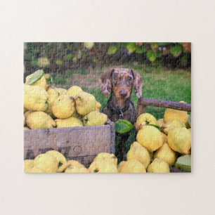 Puzzle Perro desconcerta foto de picapapeles de cachorro 