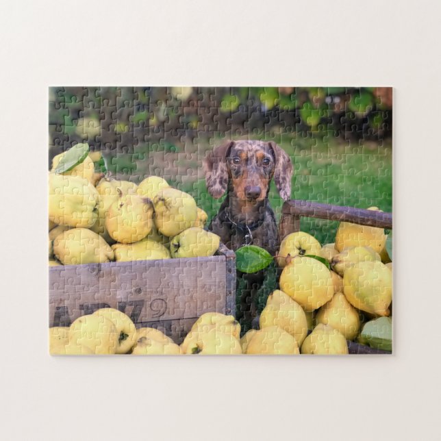 Puzzle Perro desconcerta foto de picapapeles de cachorro  (Horizontal)