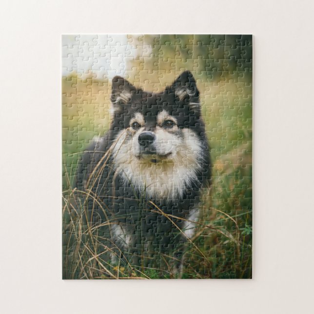 Puzzle Perro desconcerta foto de picapapeles de cachorro  (Vertical)