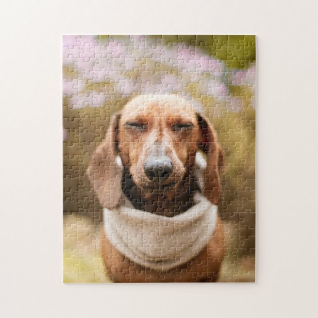 Puzzle Perro desconcerta foto de picapapeles de cachorro  (Vertical)