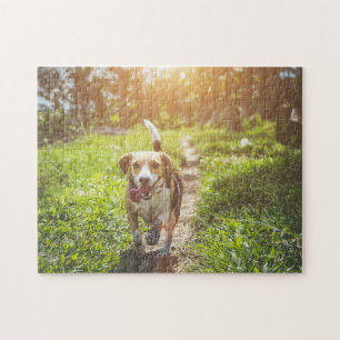 Puzzle Perro desconcerta foto de picapapeles de cachorro