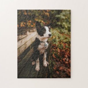 Puzzle Perro desconcerta foto de picapapeles de cachorro