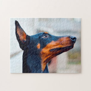 Puzzle Perro Doberman Pinscher.