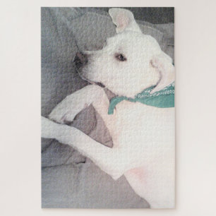 Puzzle Perro dulce de cachorro vestido con bufanda verde