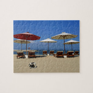 Puzzle Perro en la playa