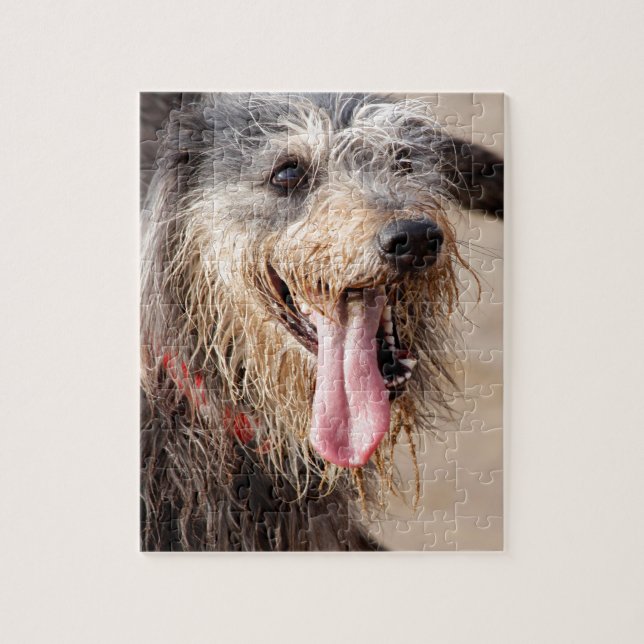 Puzzle Perro feliz en la playa (Vertical)