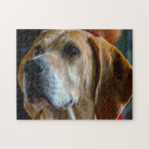 Puzzle Perro Foxhound.