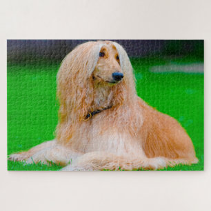 Puzzle Perro Galgo Afgano.