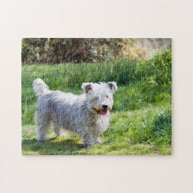 Puzzle Perro Glen de Imaal Terrier (Horizontal)
