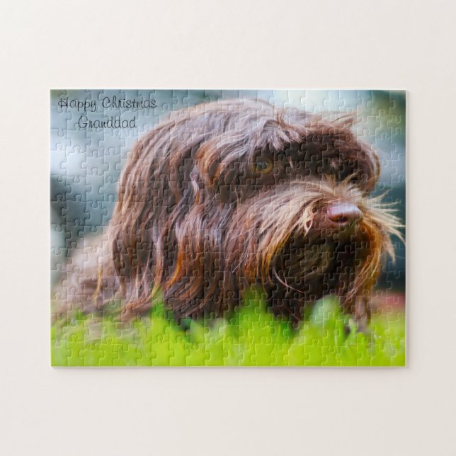 Puzzle Perro Havanés. (Horizontal)