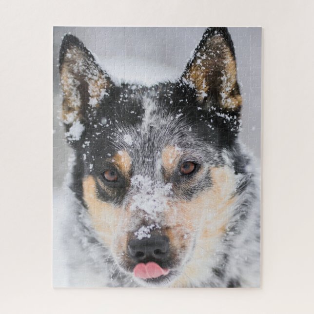 Puzzle Perro Heeler azul en la nieve (Vertical)
