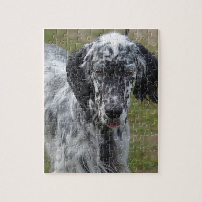 Puzzle Perro hermoso del organismo inglés (Vertical)