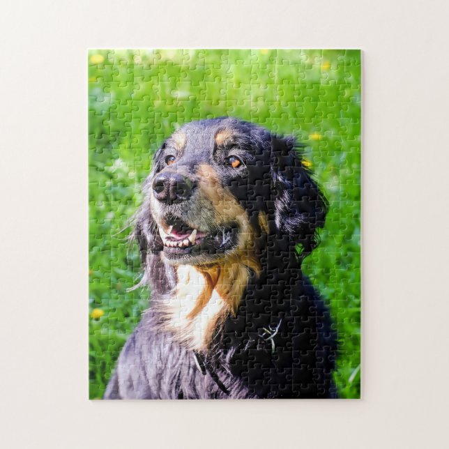 Puzzle Perro Hovawart. (Vertical)
