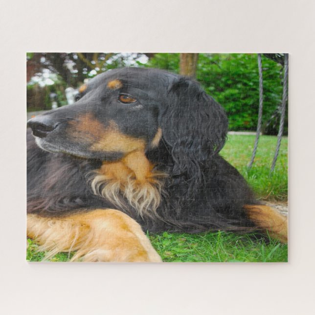 Puzzle Perro Hovawart Negro. (Horizontal)