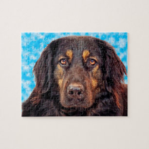 Puzzle Perro Hovawart negro.