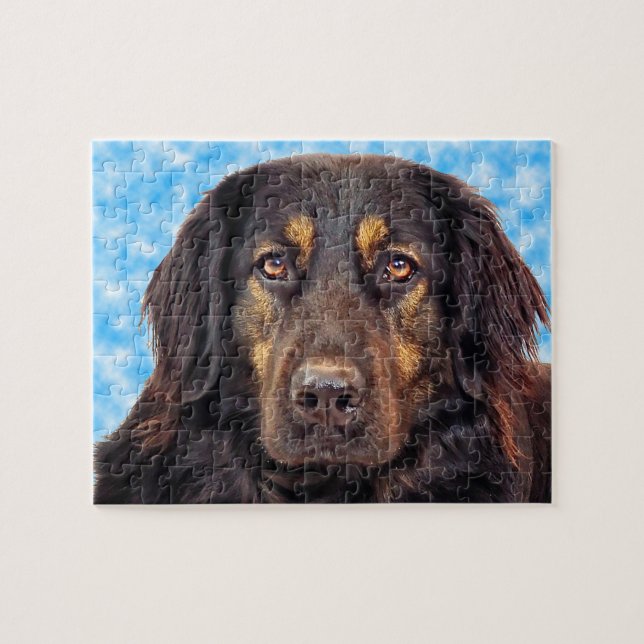 Puzzle Perro Hovawart Negro. (Horizontal)