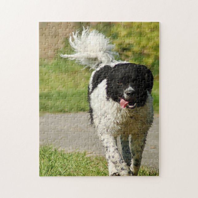 Puzzle Perro humeante jigsaws. (Vertical)