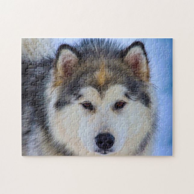 Puzzle Perro Husky de Alaska. (Horizontal)