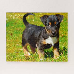 Puzzle Perro Jack Russell.