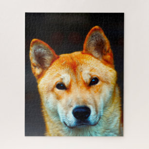 Puzzle perro jindo coreano.