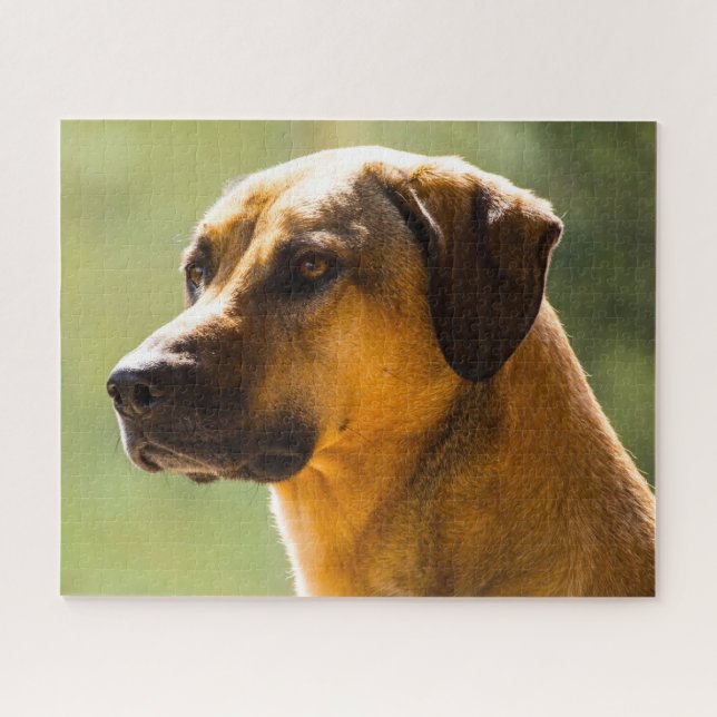 Puzzle Perro Kangal. (Horizontal)