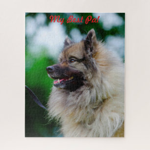 Puzzle Perro Keeshond.