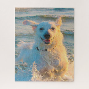 Puzzle Perro Kuvasz.