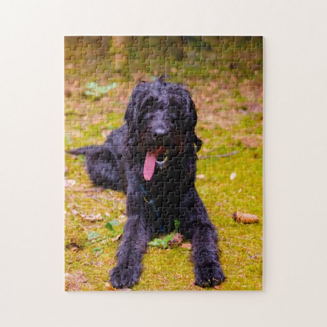 Puzzle Perro Labradoodle. (Vertical)