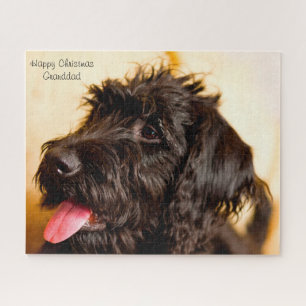 Puzzle Perro Labradoodle.