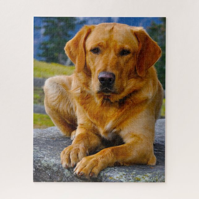 Puzzle Perro Labrador. (Vertical)