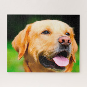 Puzzle Perro Labrador.