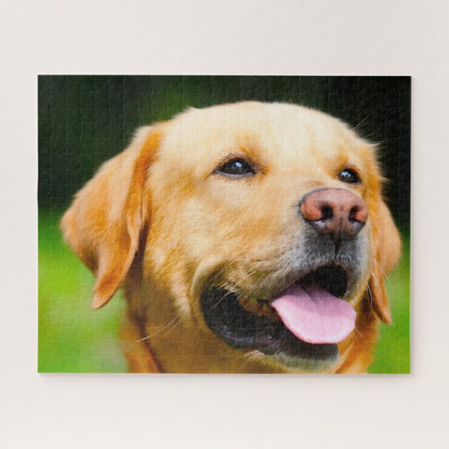 Puzzle Perro Labrador. (Horizontal)
