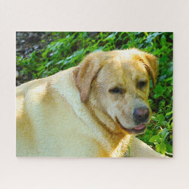 Puzzle Perro Labrador. (Horizontal)