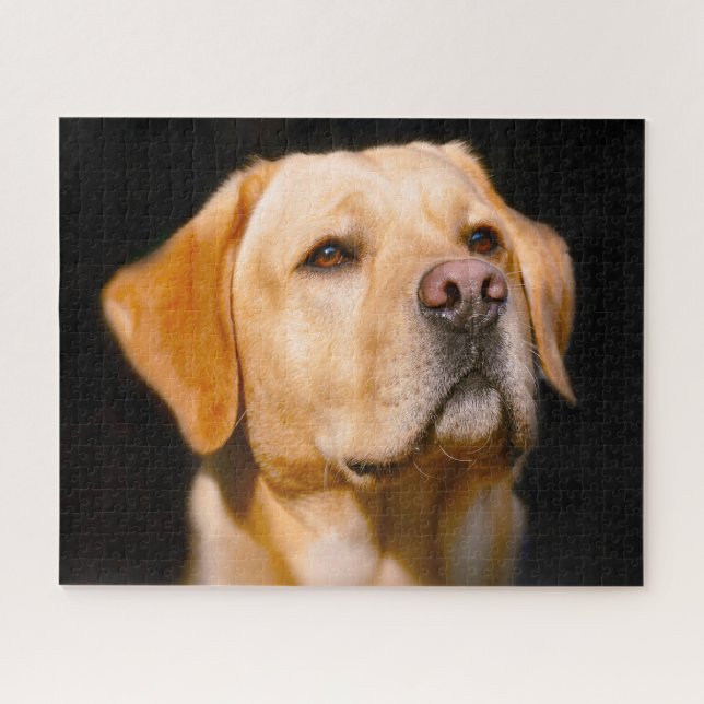 Puzzle Perro Labrador. (Horizontal)