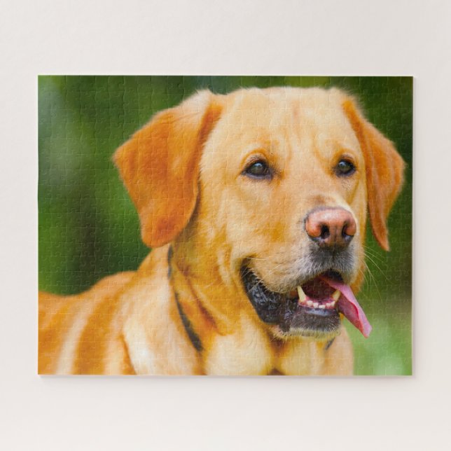 Puzzle Perro Labrador. (Horizontal)