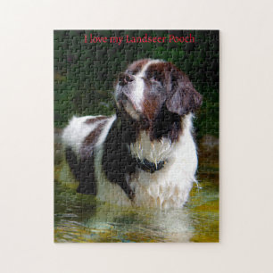 Puzzle Perro Landseer.